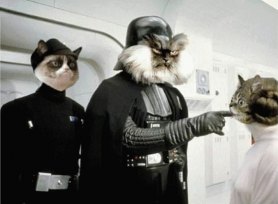 cats_wars.png