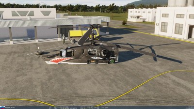 Without tail-Land.jpg