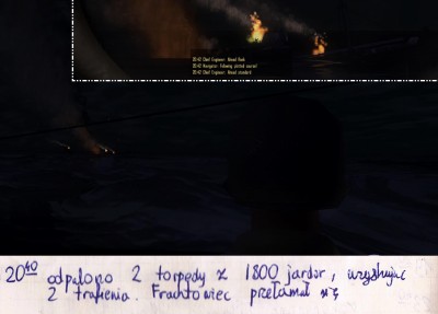 207 Zatopiony.jpg