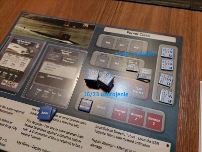 10239 - Gato w zastępstwo.jpg