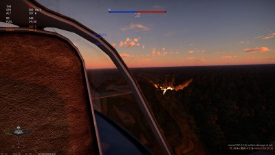 nemo-1.jpg