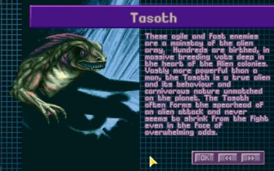 426 - Tastoshe.jpg